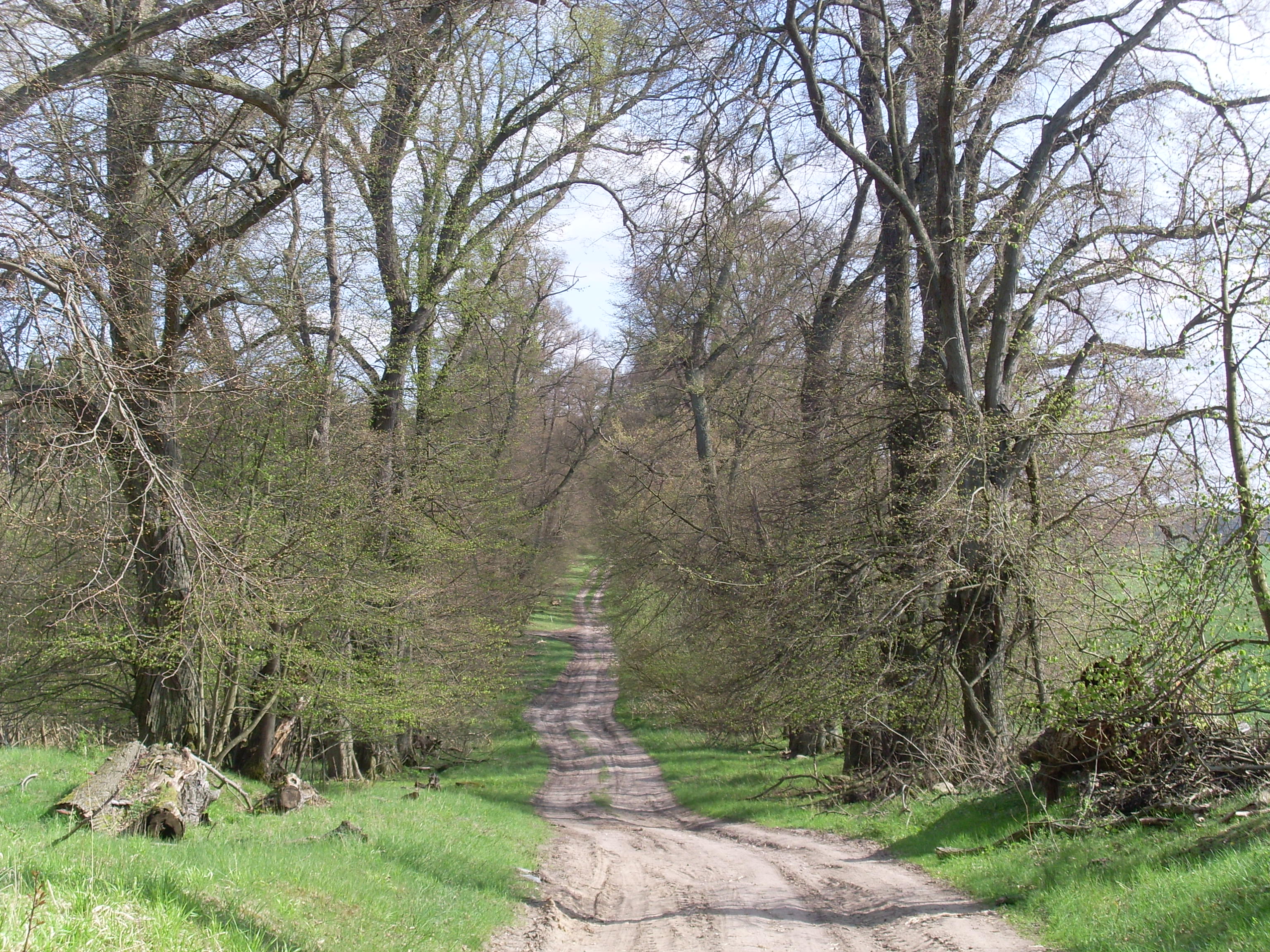 Feldweg Uckermark